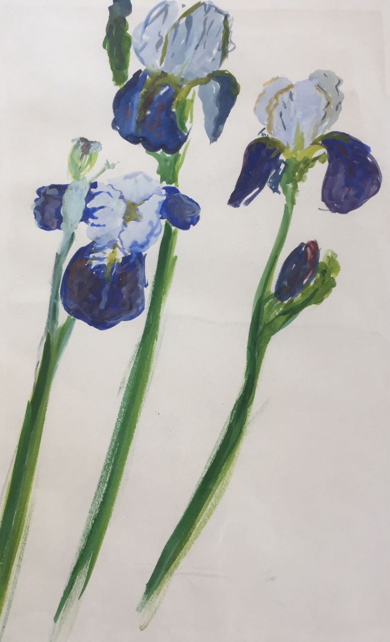 Picture of Blue Irises by Carolyn Vine