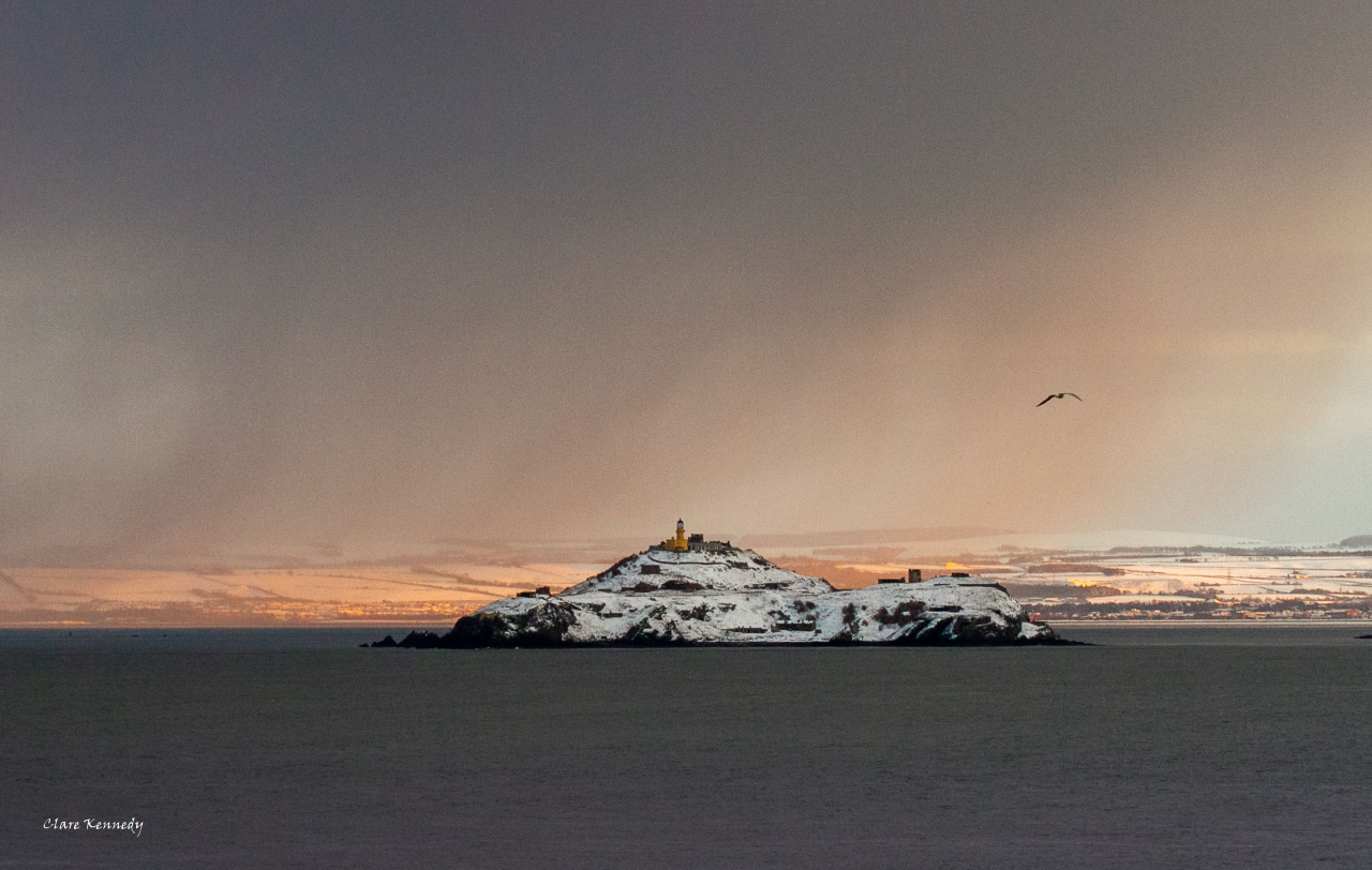 Picture of Inchcolm Island by Claire Kennedy