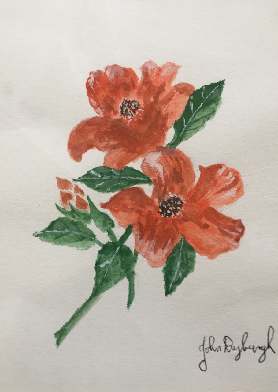 Picture of Red Flowers by John Dryburgh