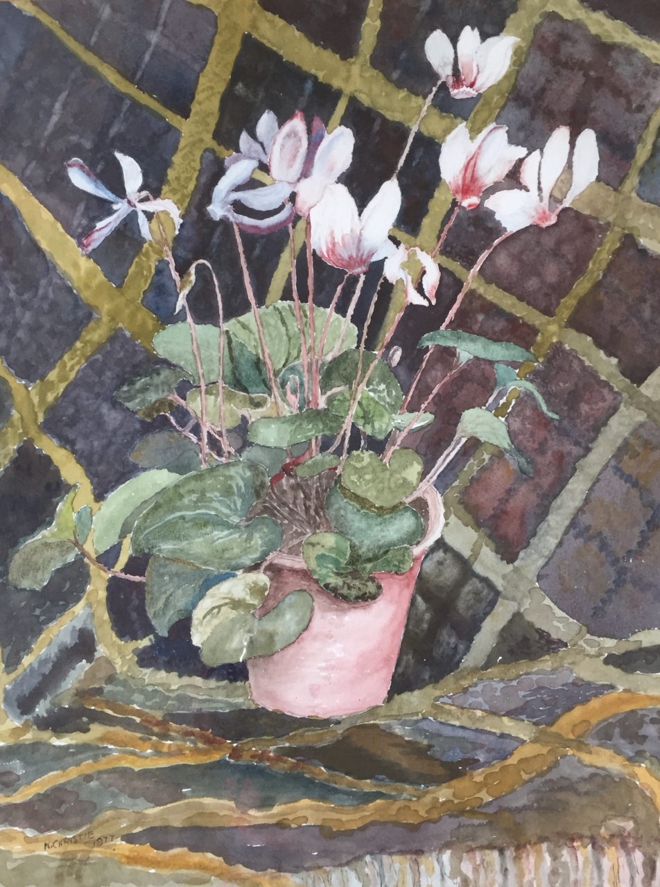 Picture of Cyclamen by Norman Christie