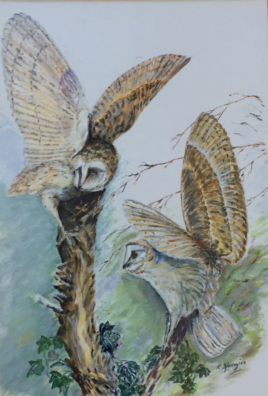 Picture of Owls by H Hermjes