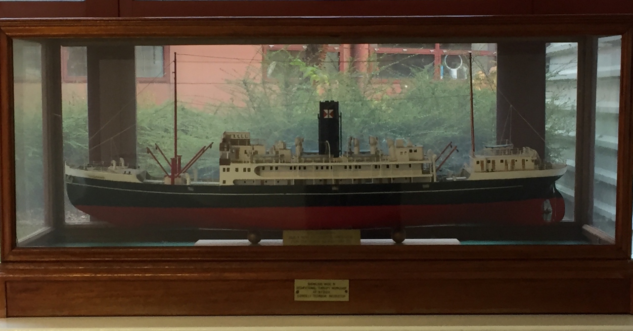 Picture of S.S. Shengking (model) by James Lamberton