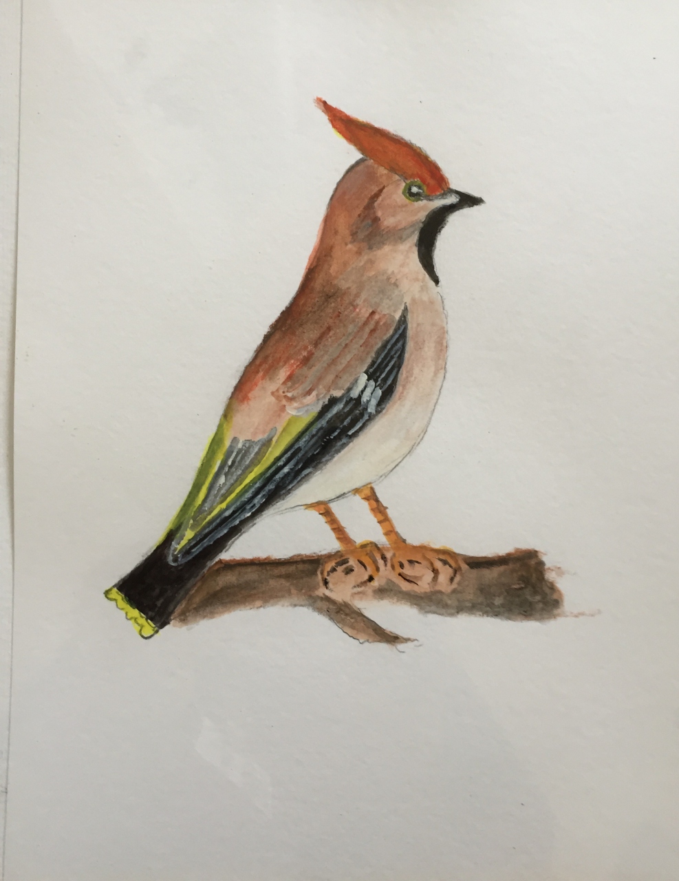 Picture of Bird 5 by John Dryburgh