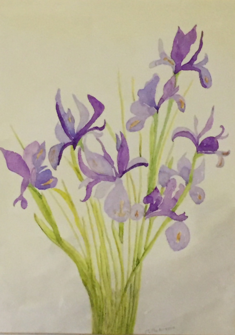 Picture of Irises by M McAlinden