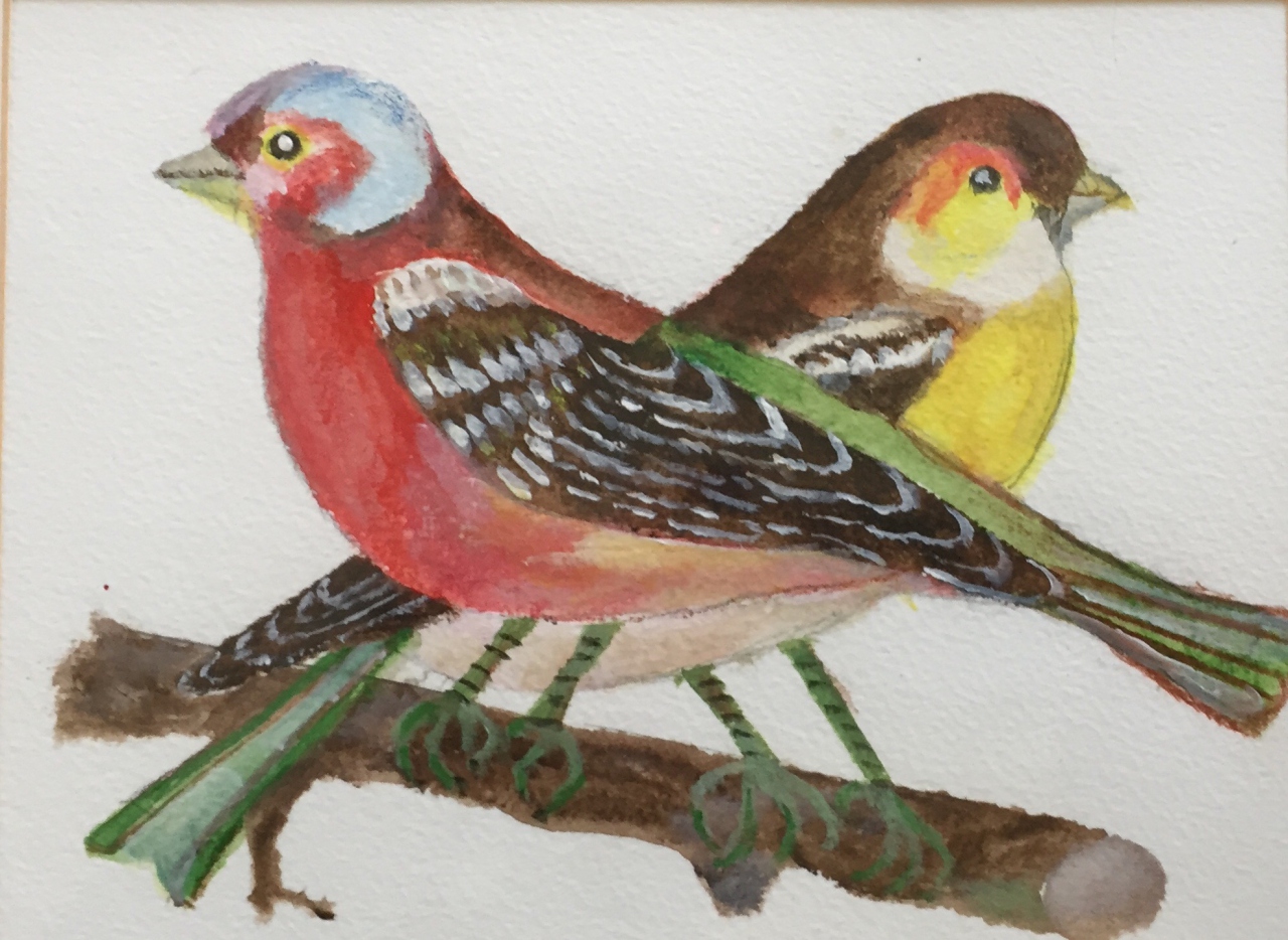 Picture of Two Birds 1 by John Dryburgh