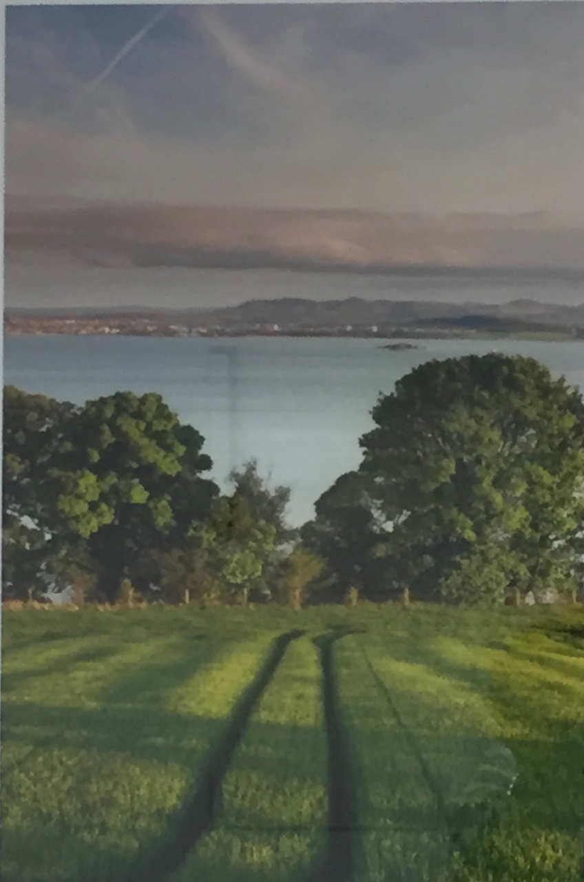 Picture of Farmland near Aberdour by Alan Arnott