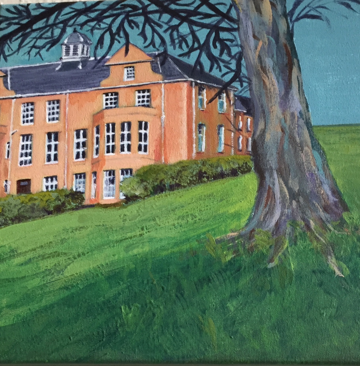 Picture of Stratheden Hospital 150th Anniversary -9 by Erica Heeley