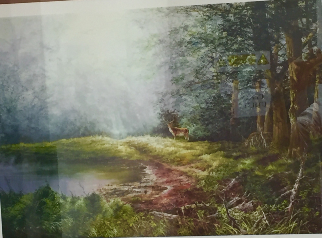 Picture of A Deer in the Wood by Artist Unknown