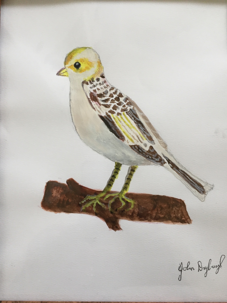 Picture of Bird 3 by John Dryburgh