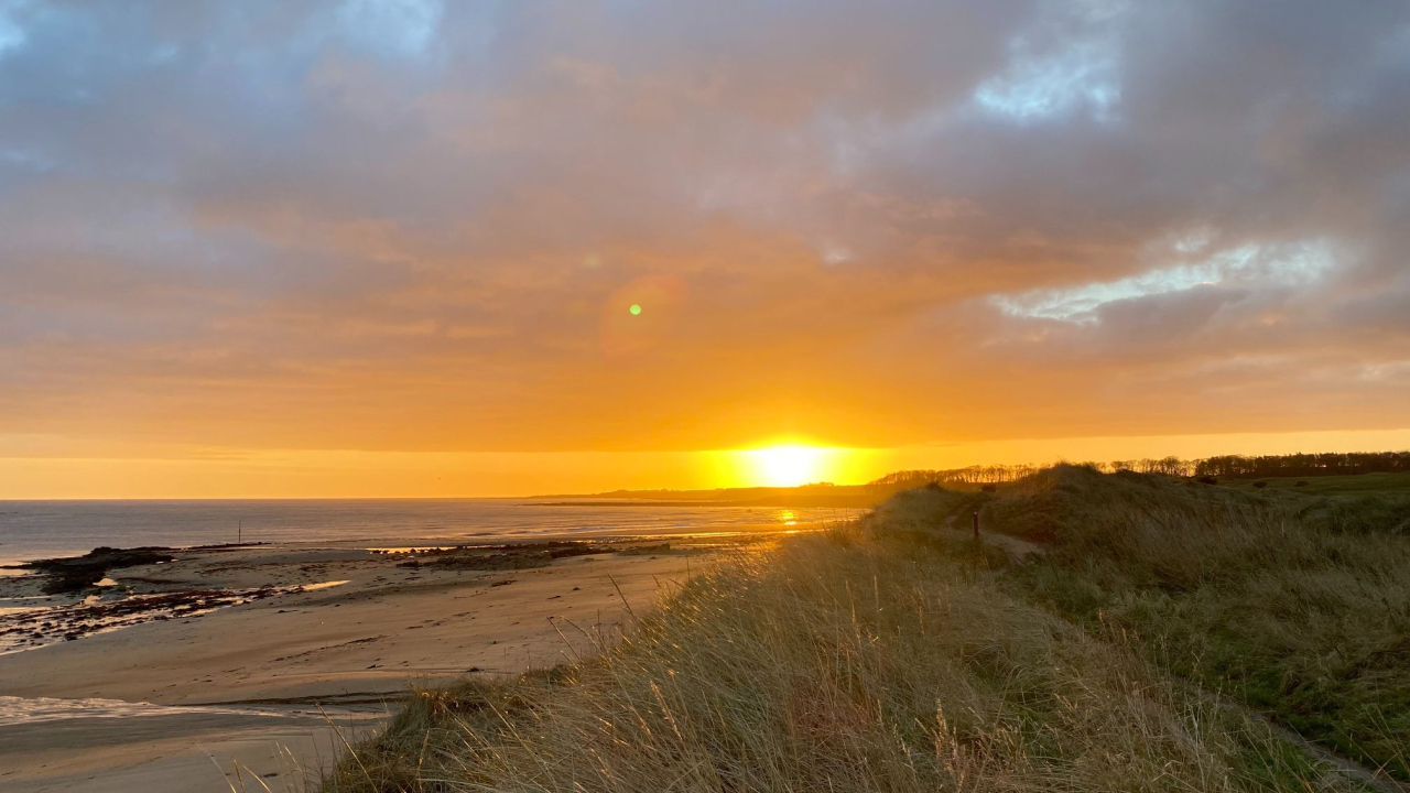 Picture of Beach Scene by Clare Weir