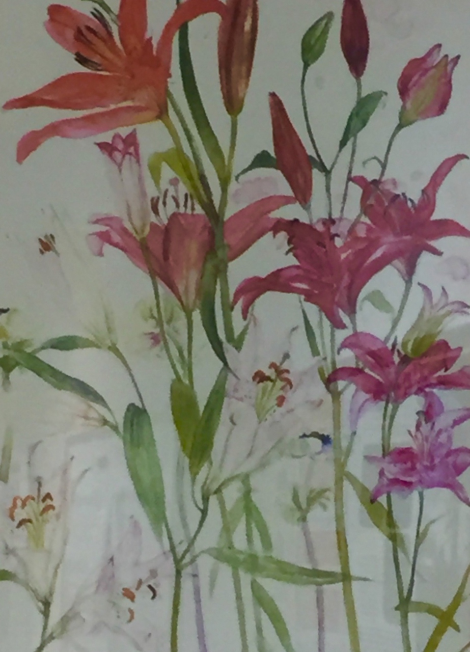 Picture of Pink Lilies by Elizabeth Blackadder