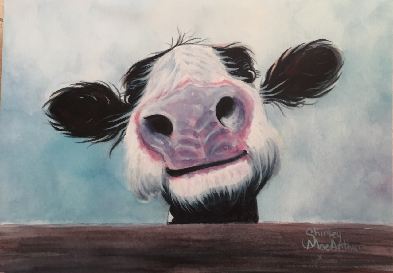 Picture of Cow by Shirley MacArthur