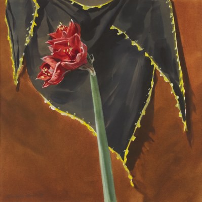 Picture of Amaryllis and Polish Scarf by Edward Gage
