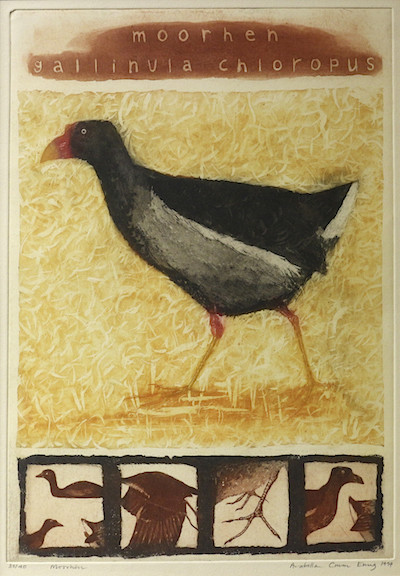 Picture of Moorhen by Arabella Crum Ewing