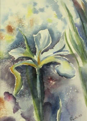 Picture of Iris I by Frances Pyrich