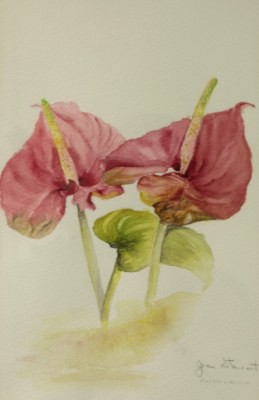 Picture of Anthurium by Jean Stewart