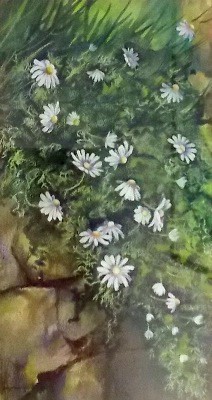 Picture of Wild Daisies by Josephine Gillespie