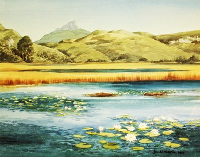 Picture of Mountain Landscape with Waterlilies by Jan Nicholson