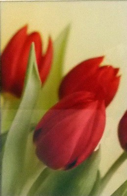 Picture of Red Tulips* by Suzanne Black