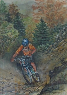 Picture of Mountain Biker by M.B. West