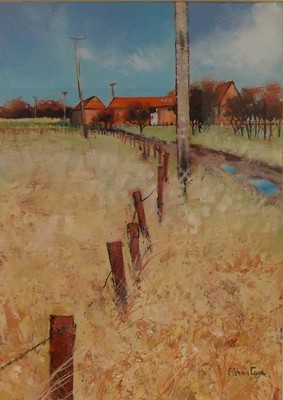 Picture of Rusty Fence by Alison Cage