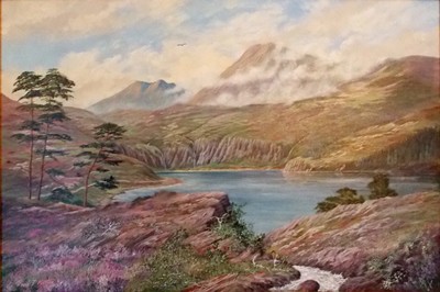 Picture of Mountain Landscape by David T. Murton