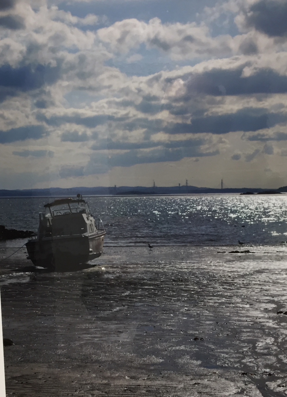 Picture of Rested Kinghorn by Andy Crichton