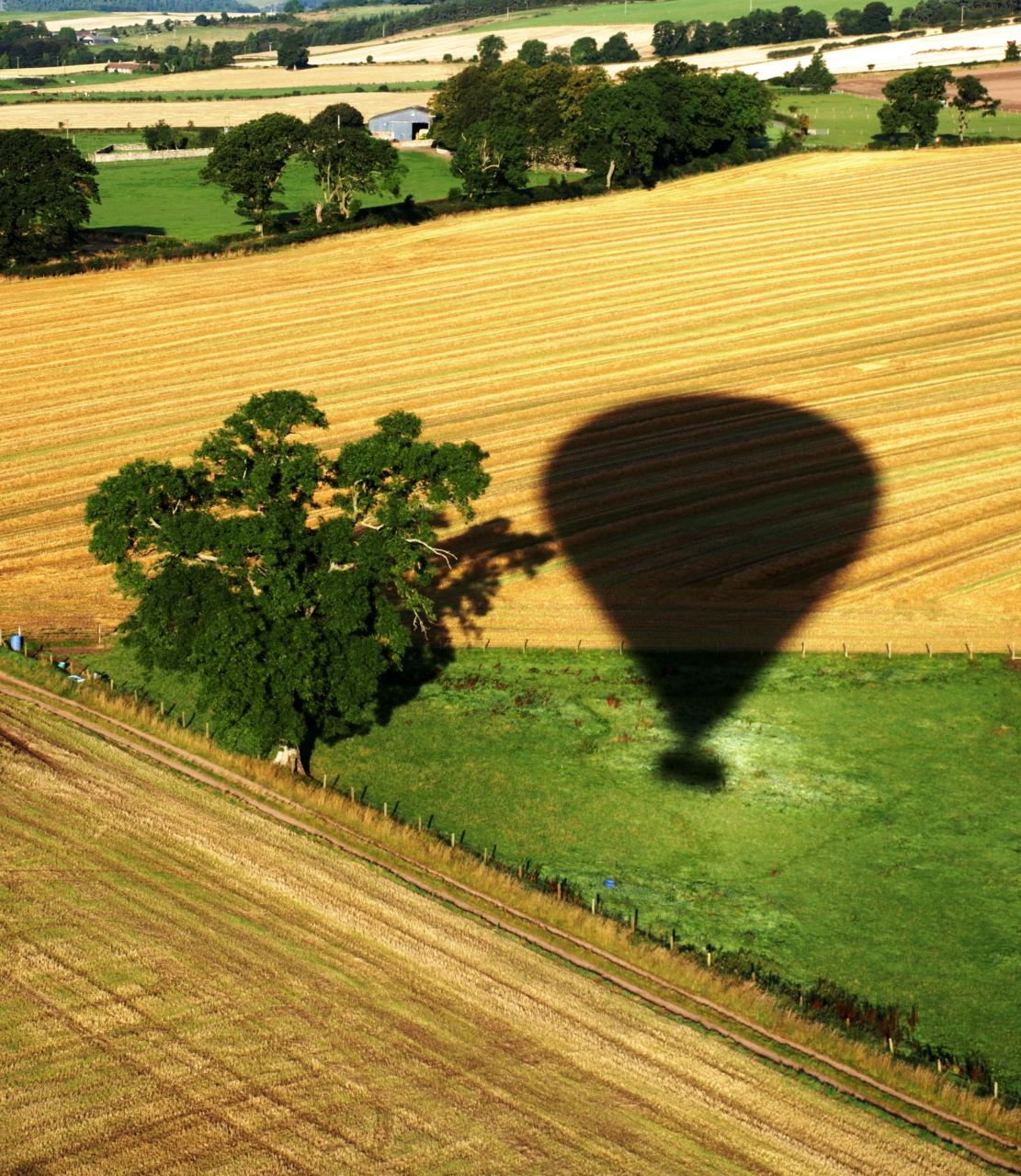 Picture of Balloon Over Fife by Artist Unknown