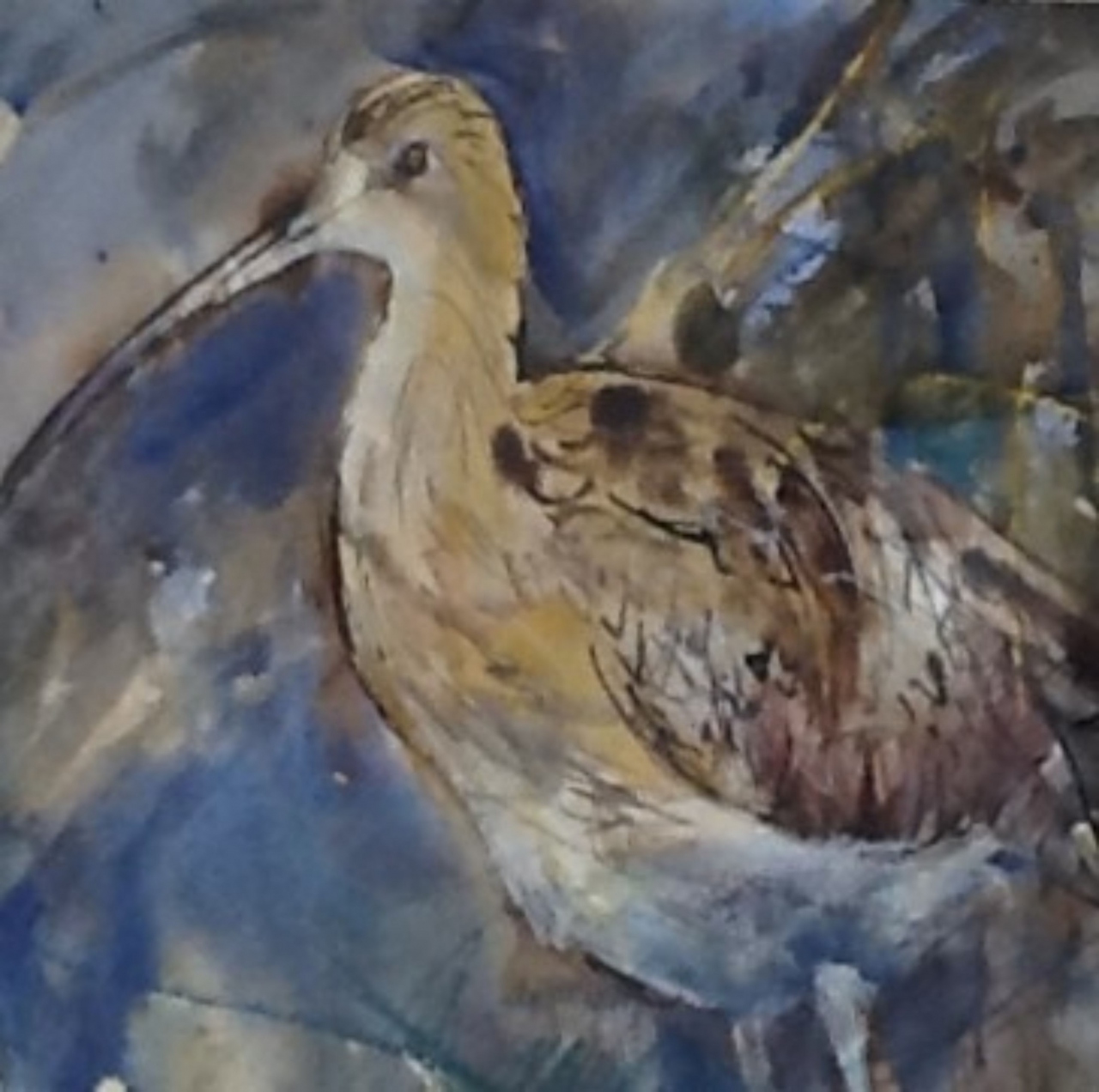 Picture of Curlew by Brian Baxter