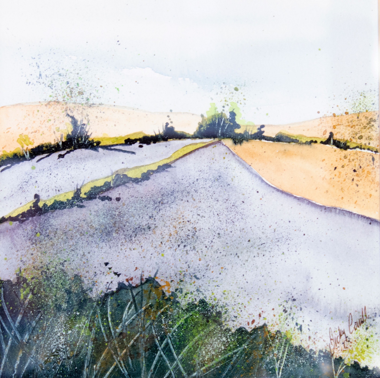 Picture of Lavender Field by Vicky Coull