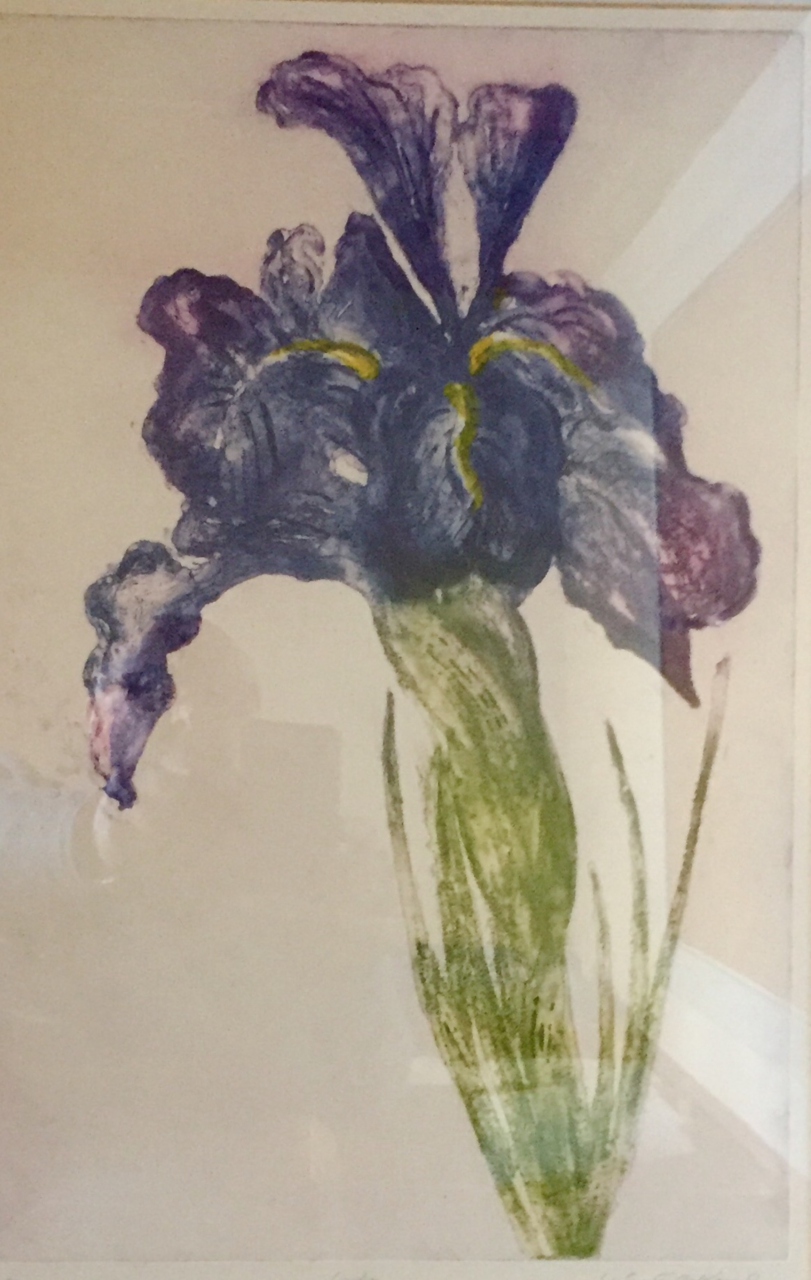 Picture of Irises by Eileen C. Erskine