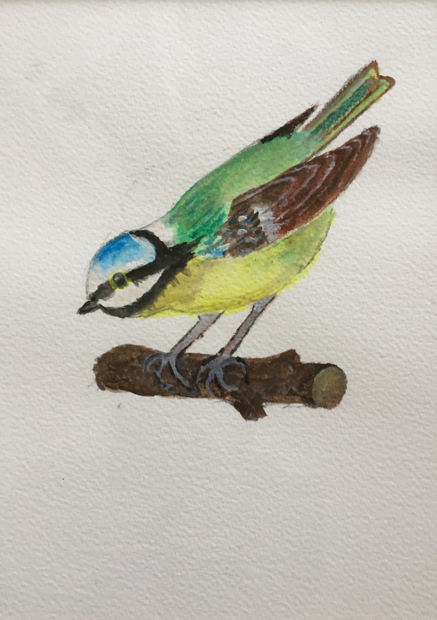 Picture of Bluetit 2 by John Dryburgh