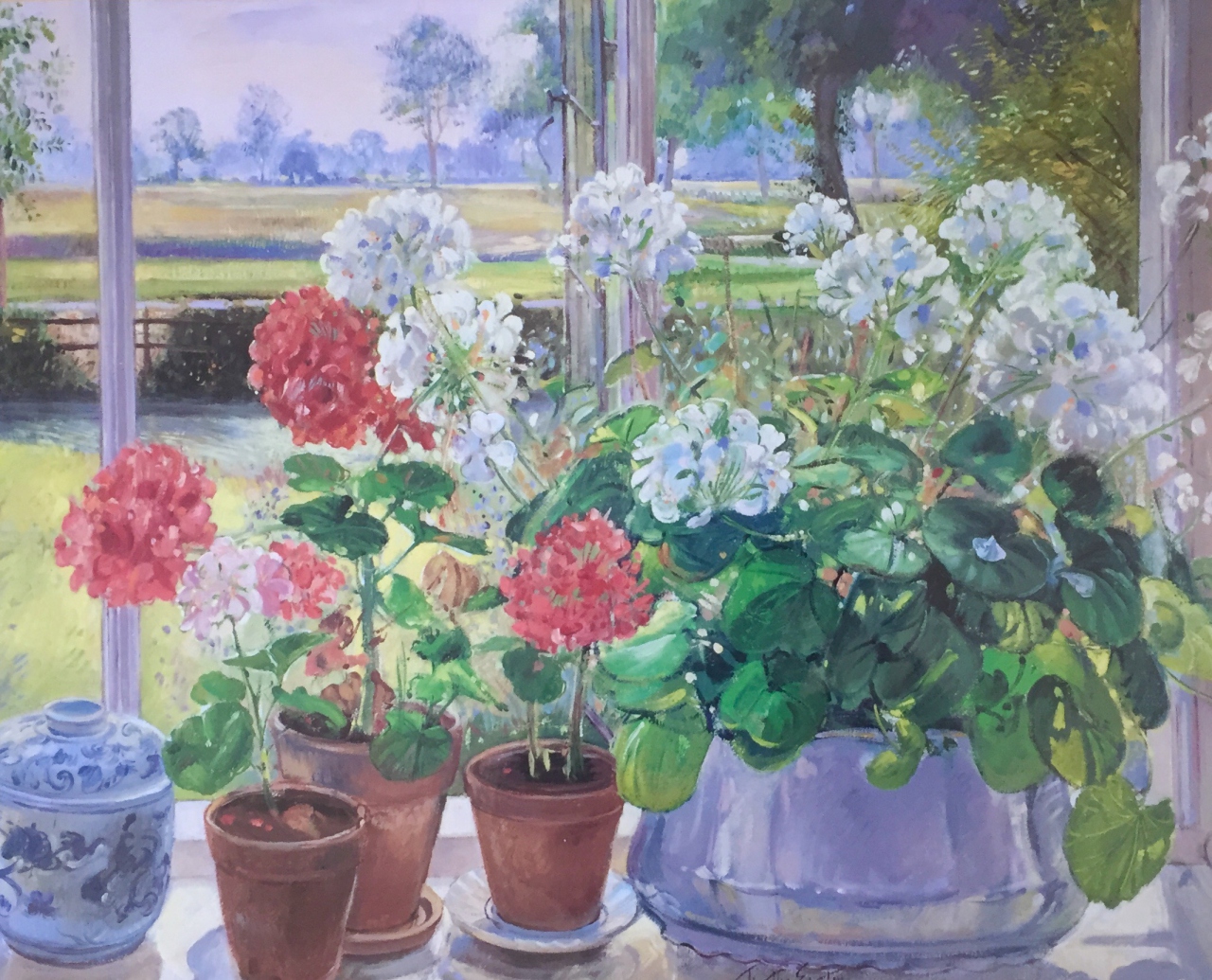 Picture of Geraniums by Timothy Easton