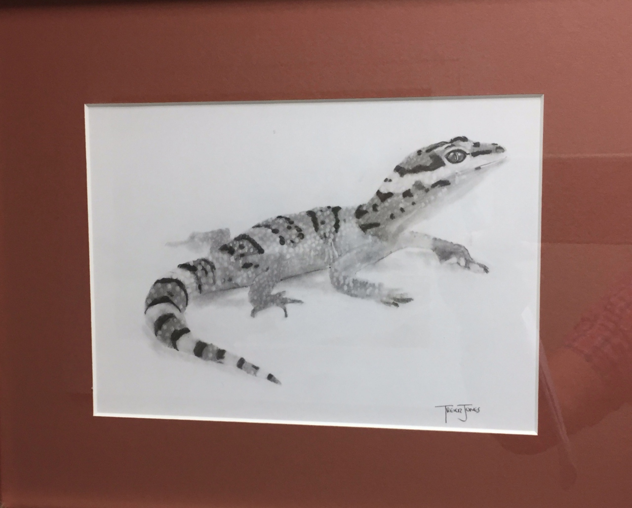 Picture of Lizard by Trevor Jones