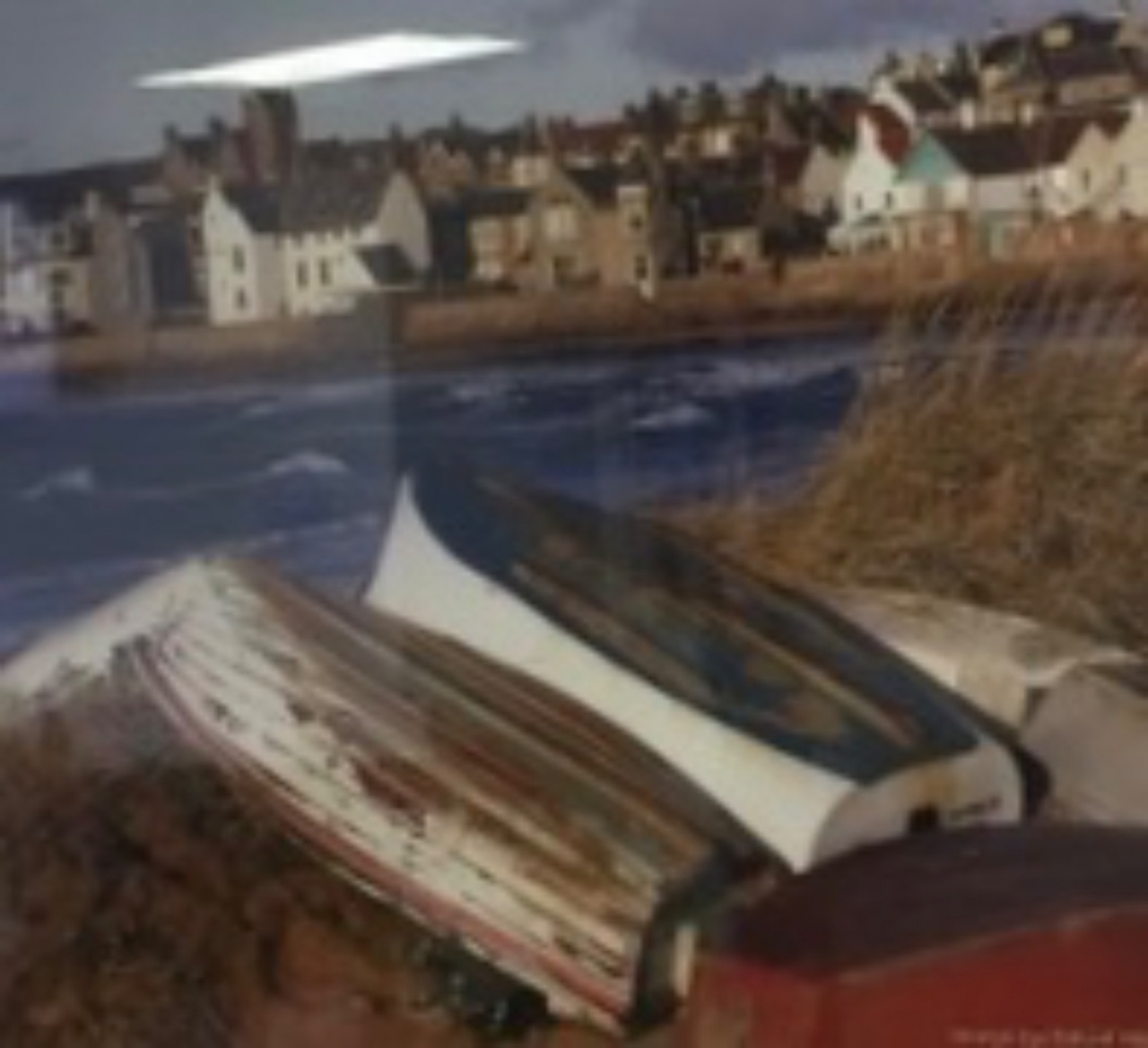 Picture of Elie by David Hatton