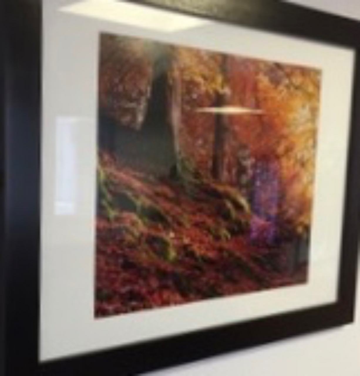 Picture of Autumn Colours by David Hatton