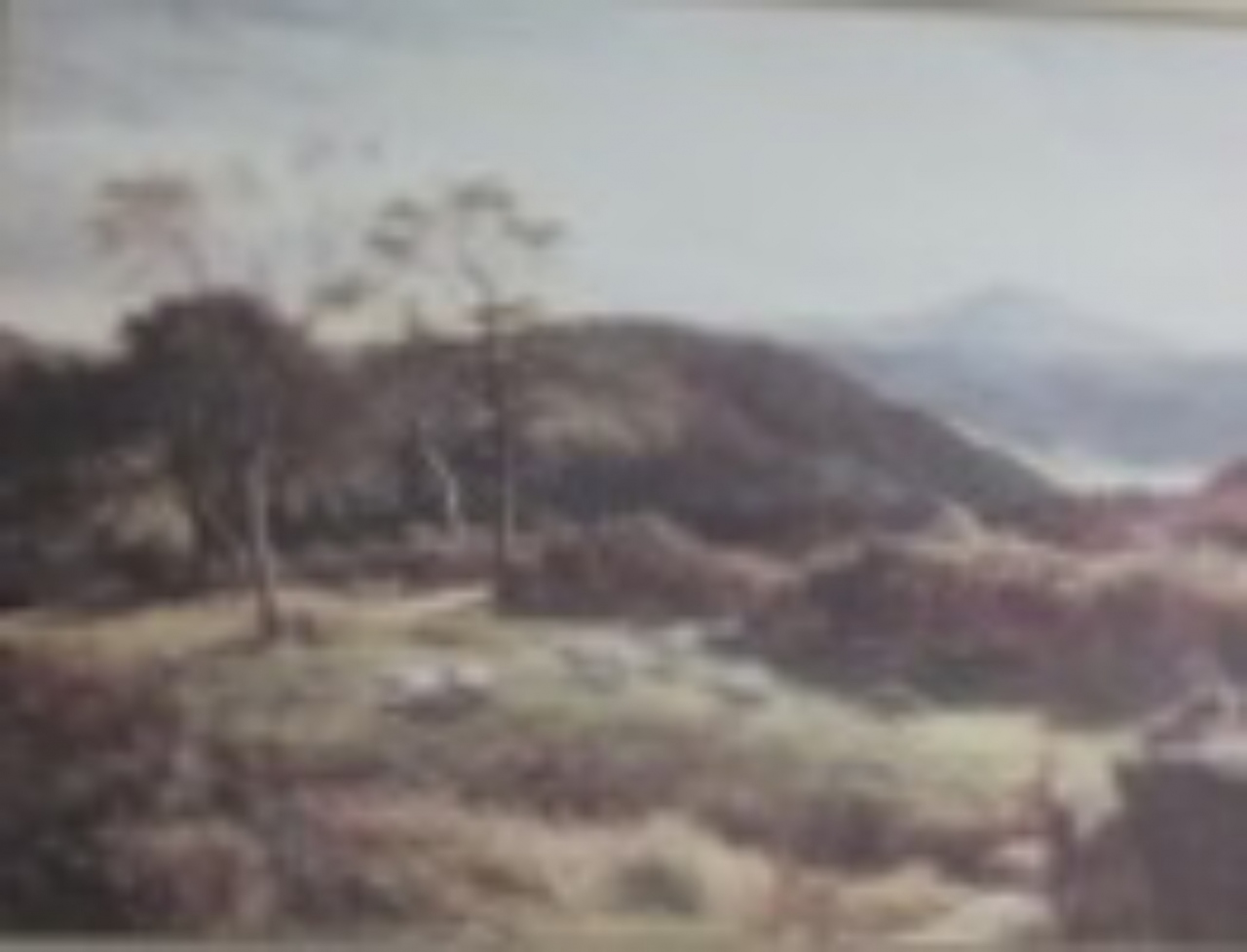 Picture of Lansdale Fell by S R Percy