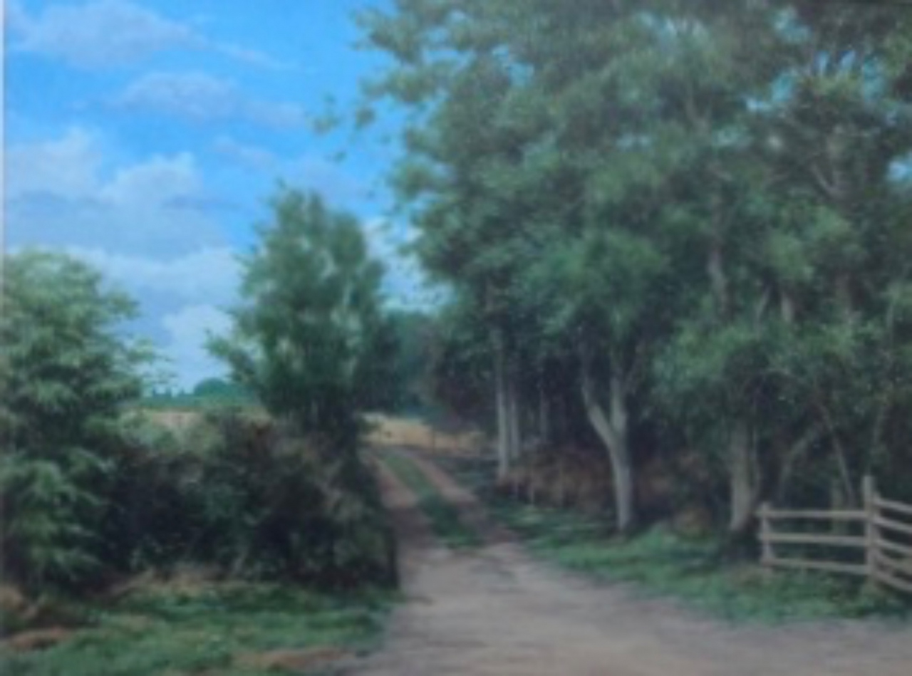 Picture of Country lane by D G Robertson