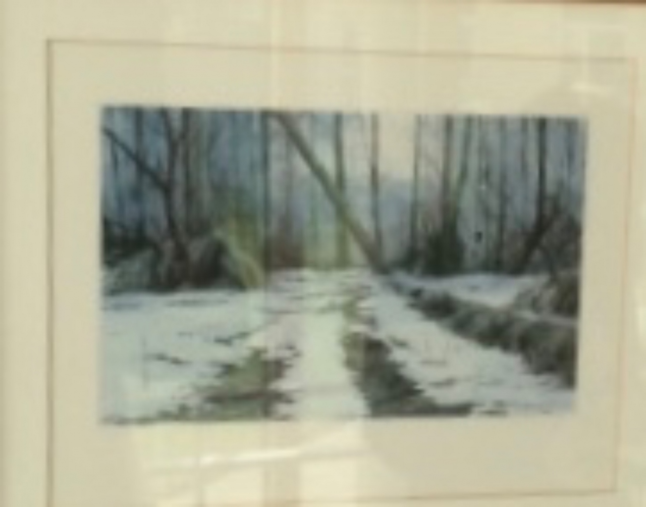 Picture of Snow Decked Glades by D G Robertson