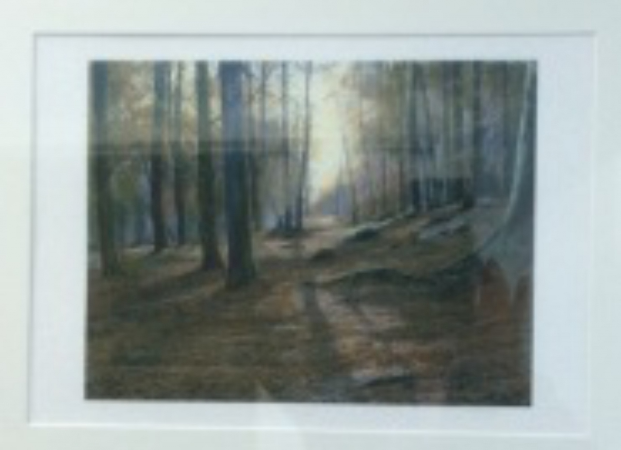 Picture of Autumn Woods by D G Robertson