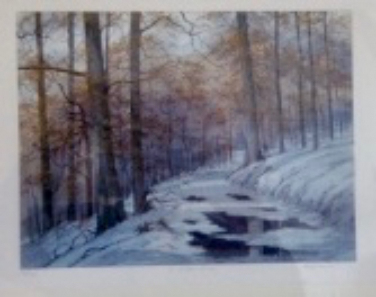 Picture of In Winter Woods by D G Robertson