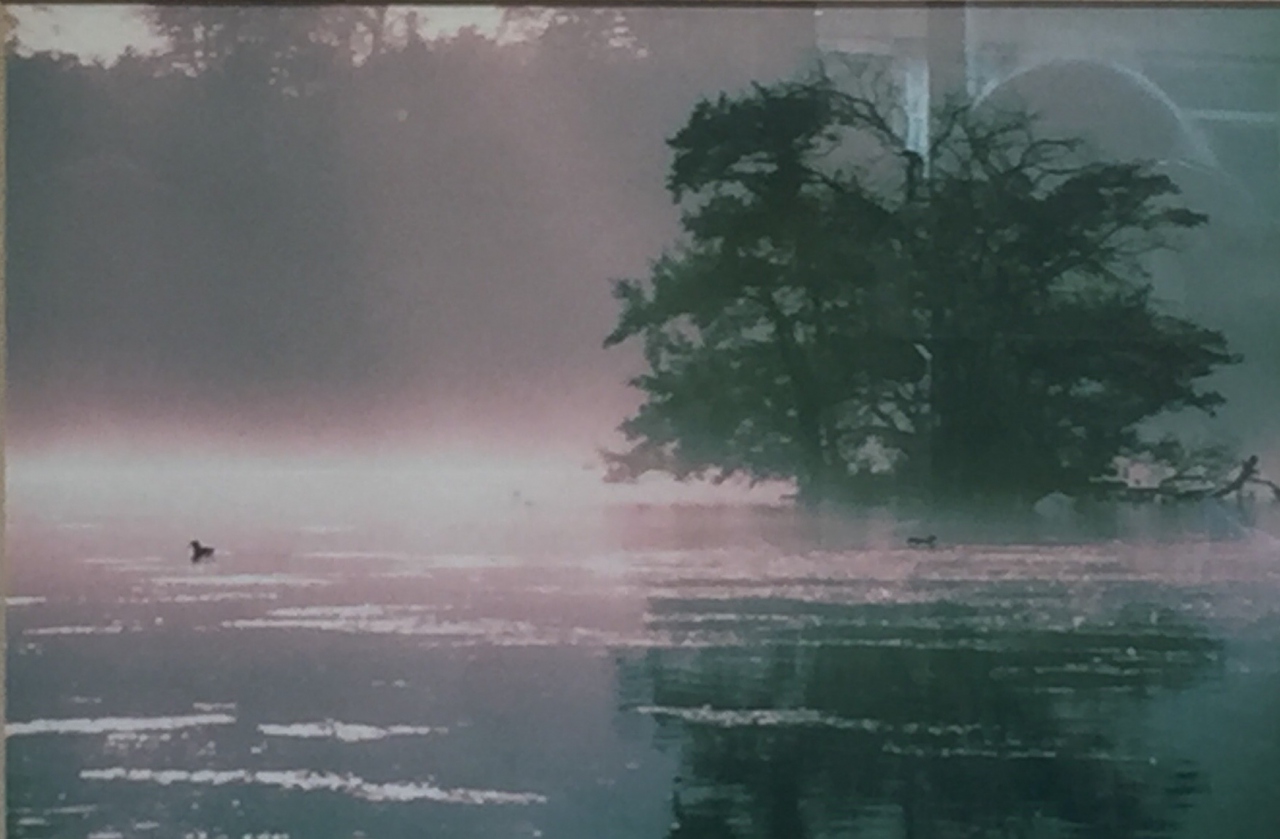 Picture of Otterston Loch by Jack Conboy