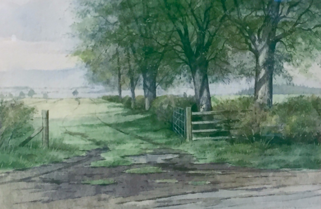 Picture of Country Lane by D G Robertson