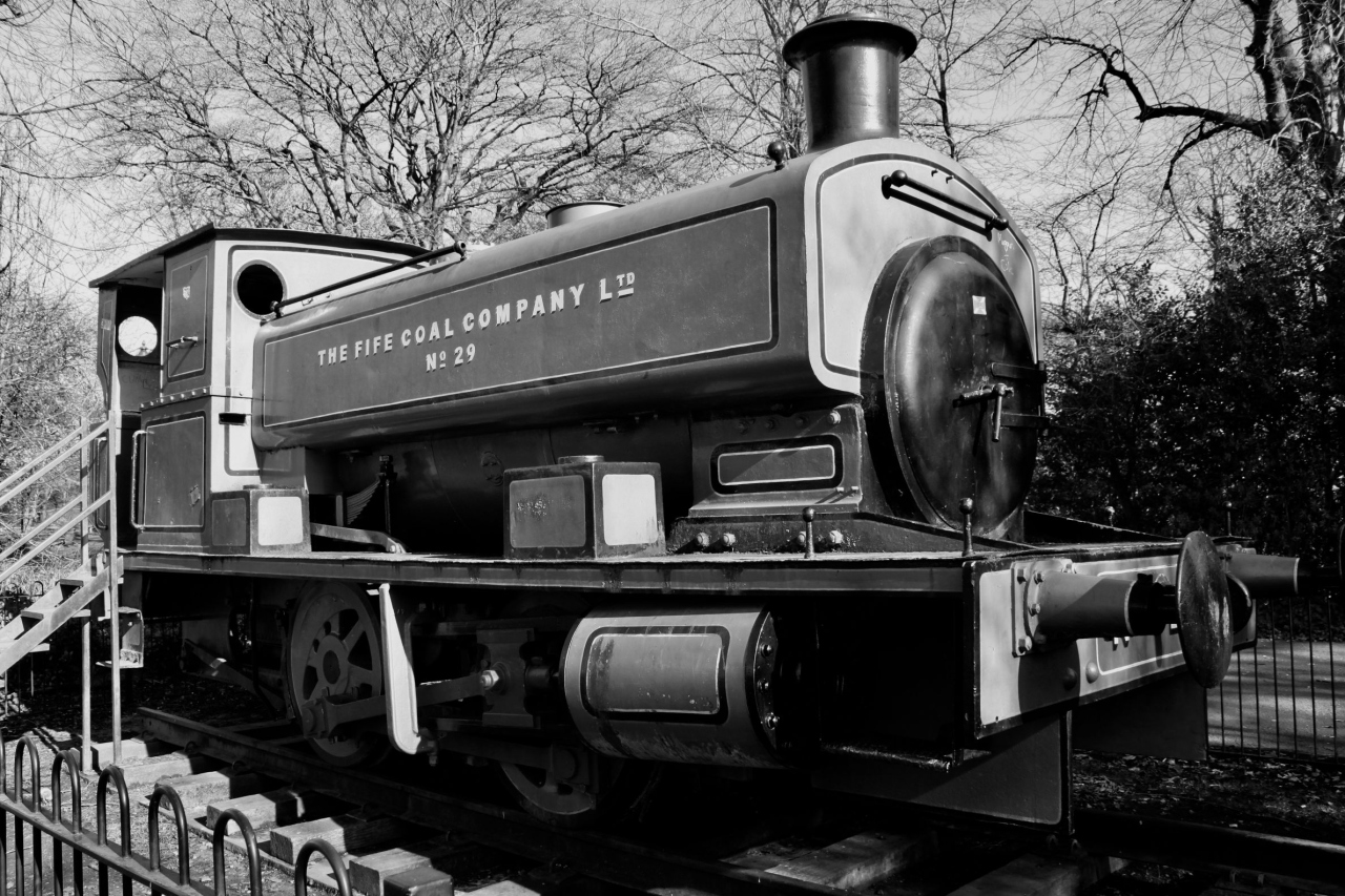 Picture of Steam Train by Sarah Mitchell