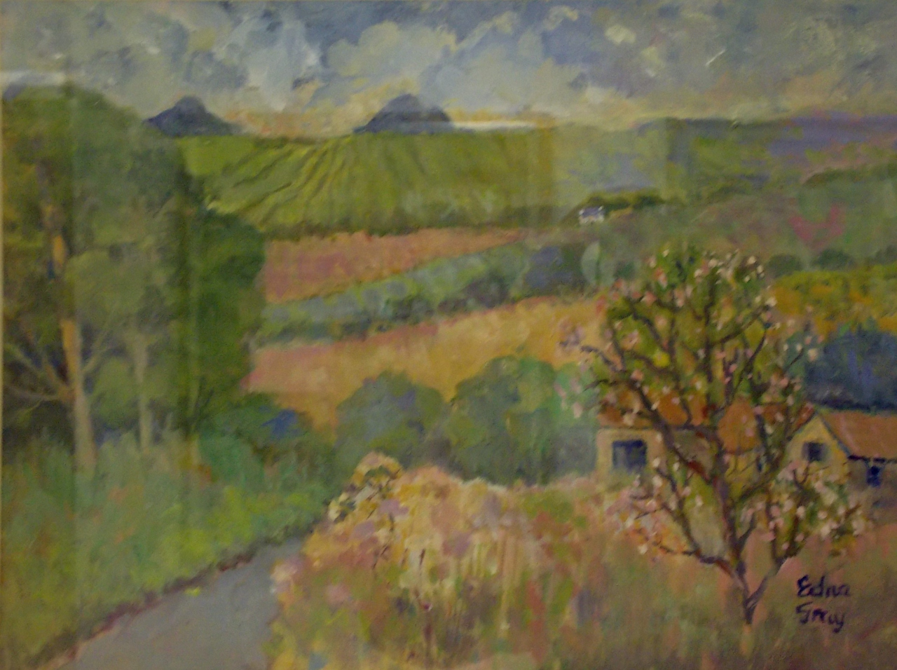 Picture of Landscape with blossom tree by Edna Gray
