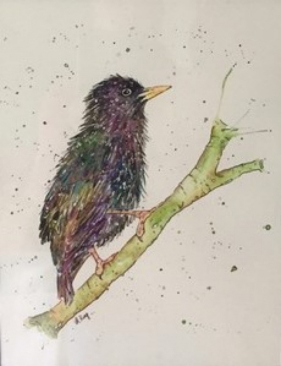 Picture of Wee Starling by Maureen King