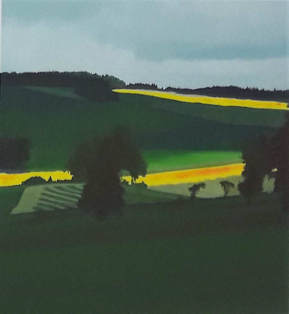 Picture of Fields of Rape Near Dunshalt by Ian Ledward