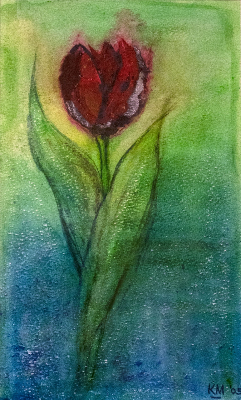 Picture of Scarlet Tulip I by Kosana Marton