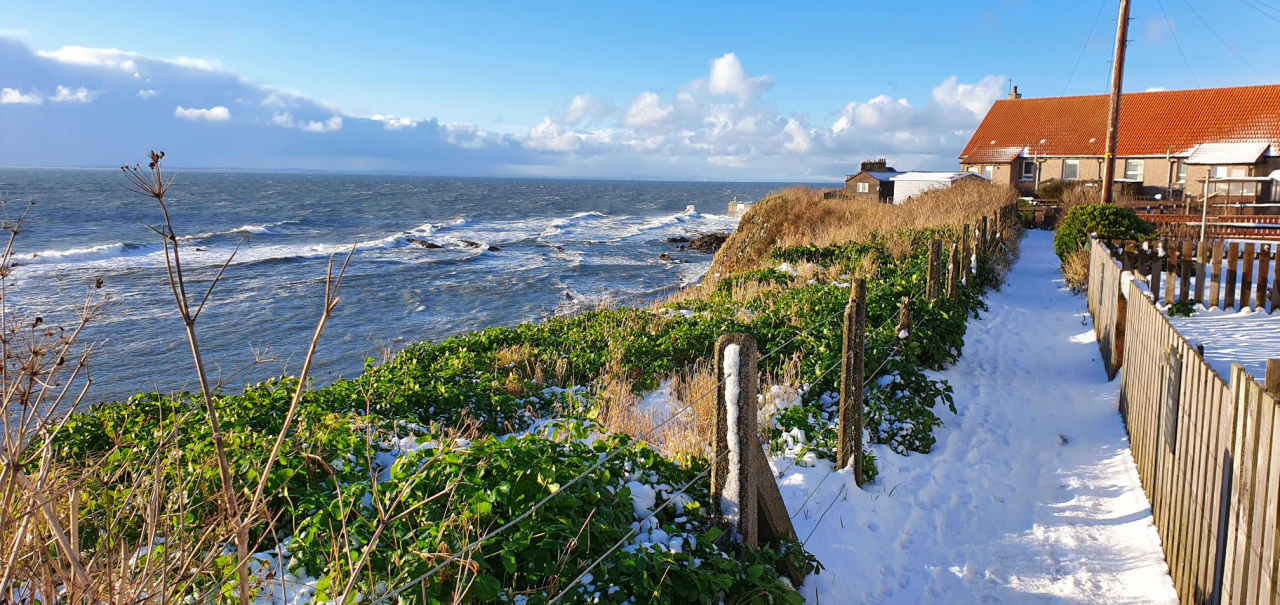 Picture of Pittenweem I by Fiona Hellicar