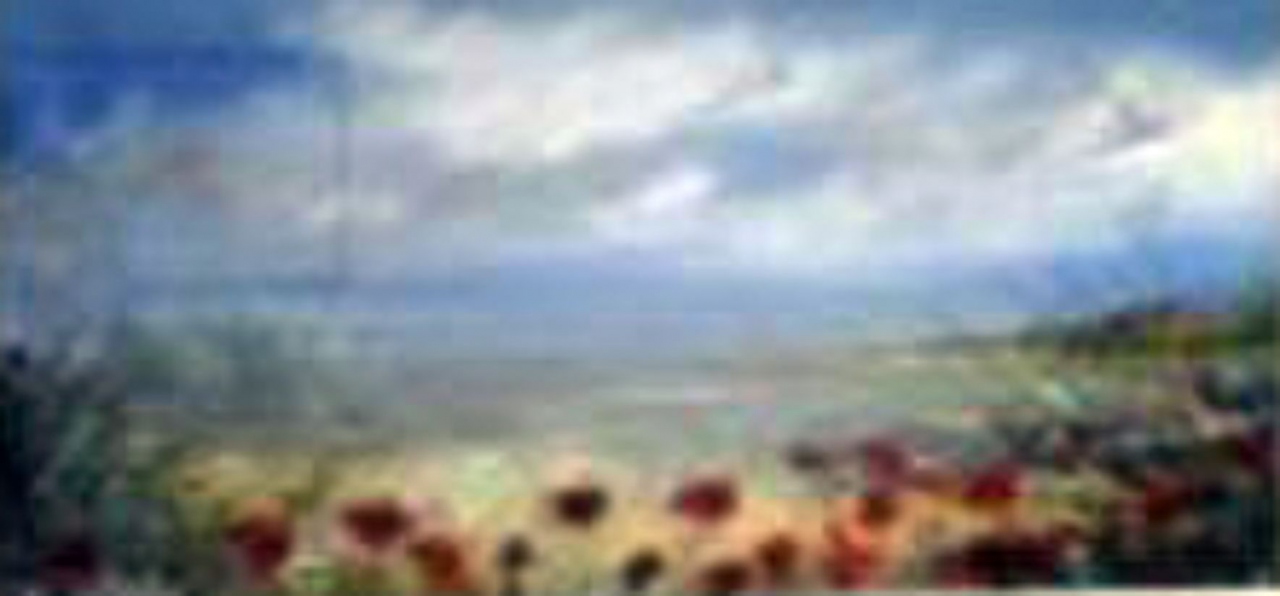 Picture of Poppy Peace I by Mark Holden